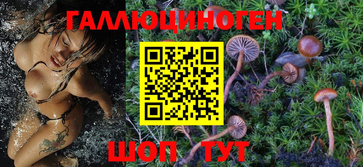 Галлюциногенные грибы Magic Shrooms Славянск-на-Кубани