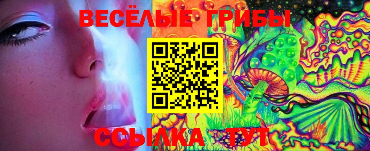 Славянск-на-Кубани  Галлюциногенные грибы Magic Shrooms  магазин продажи наркотиков  Галлюциногенные грибы Magic Shrooms  Вход с VPN 